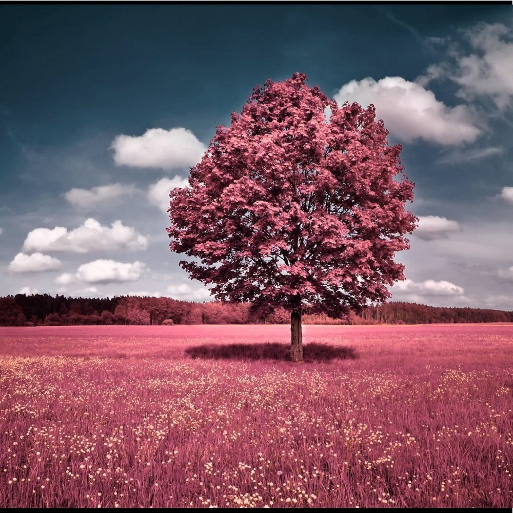 Meet your Posher, Lilian